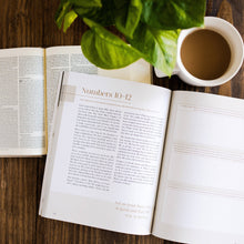 Load image into Gallery viewer, The Daily Grace Co - Eden to Eternity | The Chronological Story of Scripture | Volume 1
